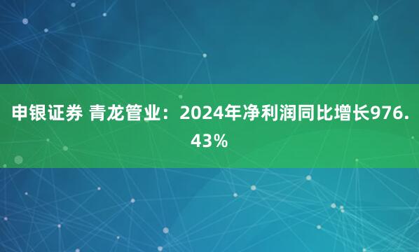 申银证券 青龙管业：2024年净利润同比增长976.43%