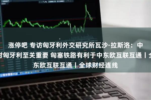 涨停吧 专访匈牙利外交研究所瓦沙·拉斯洛：中企绿地投资对匈牙利至关重要 匈塞铁路有利于中东欧互联互通丨全球财经连线