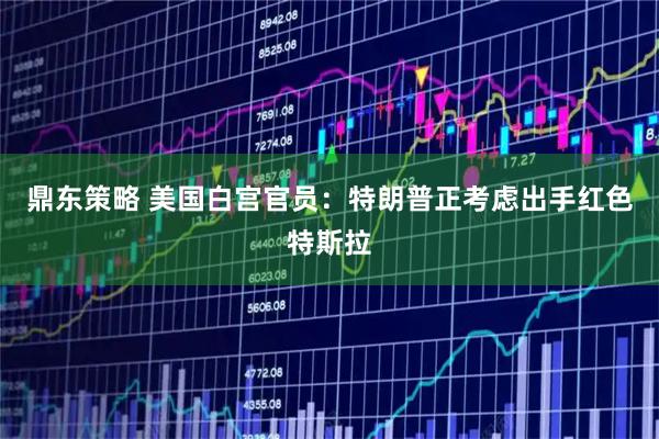 鼎东策略 美国白宫官员：特朗普正考虑出手红色特斯拉