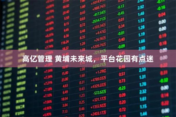 高亿管理 黄埔未来城，平台花园有点迷