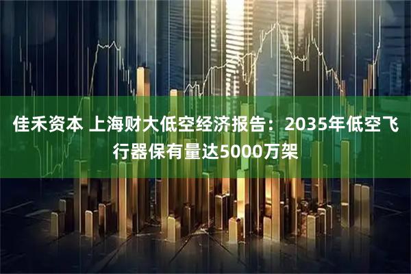 佳禾资本 上海财大低空经济报告：2035年低空飞行器保有量达5000万架